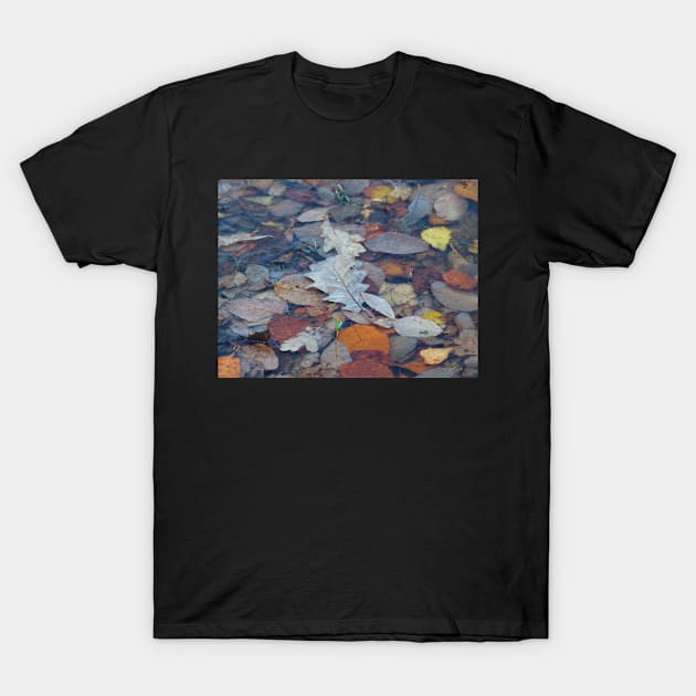 winter frozen leafs in water T-Shirt by Simon-dell